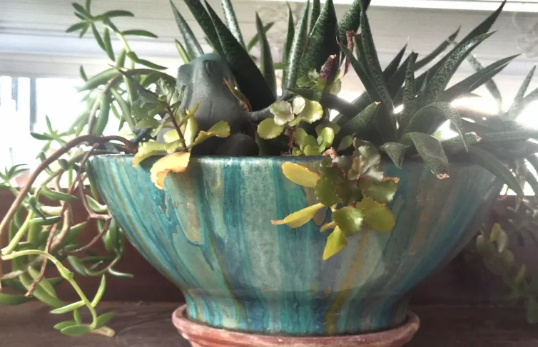 Painted Bowl